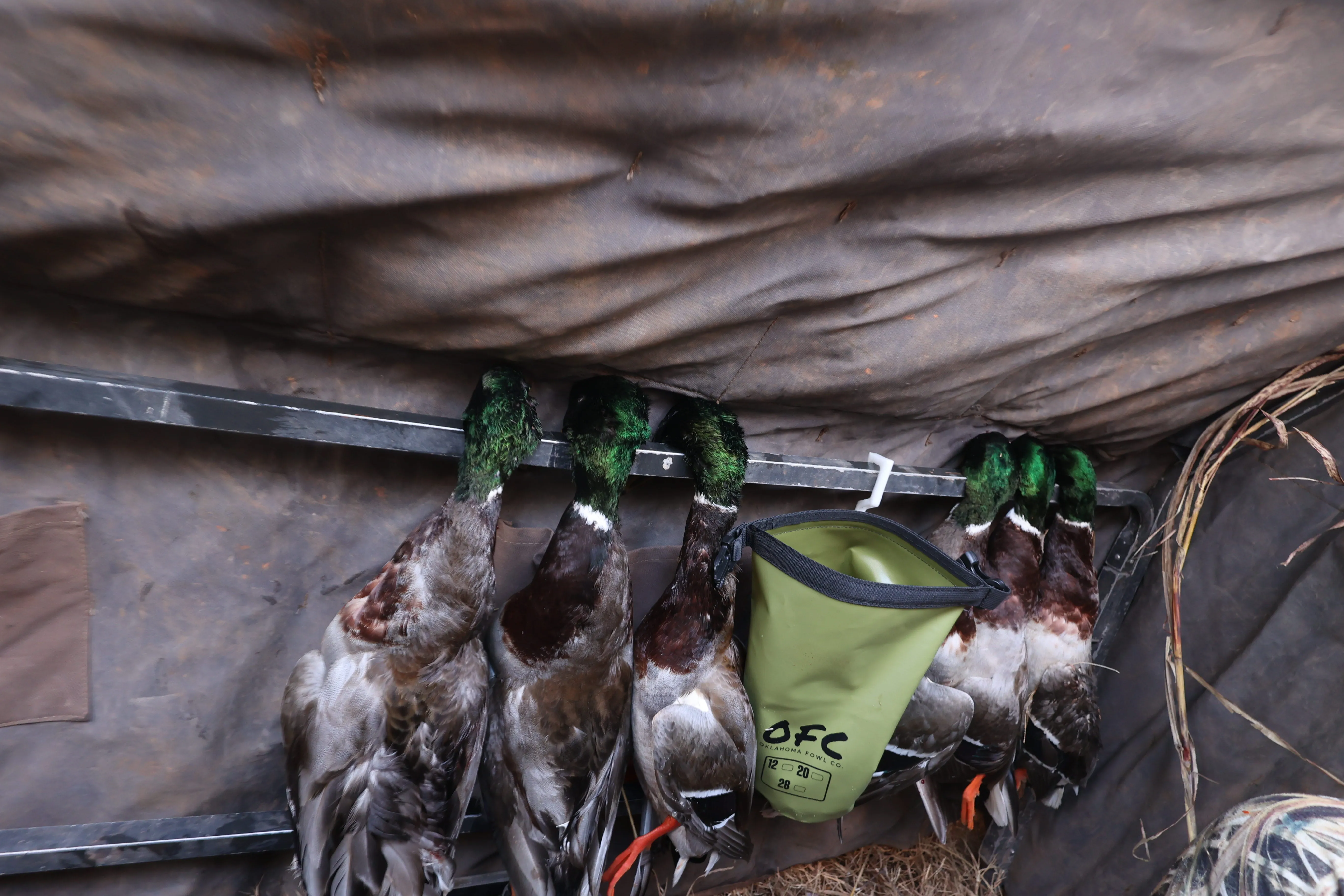 OFC Waterproof Shell Bag