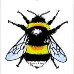 Swedish dish cloth Bumblebee